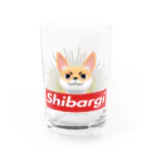 ｼﾊﾞｰｷﾞｰのまごころ宅配便のshibargi Water Glass :front