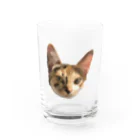 小鳥と映画館の三毛猫様 (水彩色鉛筆画) Water Glass :front