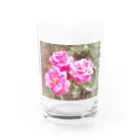 kopanの虹の世界のpink Rose Water Glass :front