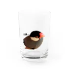 harupink🌸ペット似顔絵illustのおねむな文鳥さん Water Glass :front