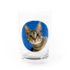 コムノのキジトラ猫の鶉（うずら） Water Glass :front