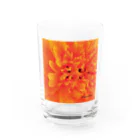 あおちゃん商会のMarigold （マリーゴールド）オレンジ Water Glass :front