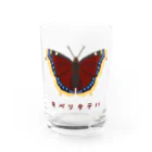 さちこの生物雑貨のキベリタテハ Water Glass :front