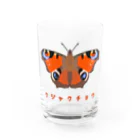 さちこの生物雑貨のクジャクチョウ Water Glass :front