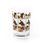 mmrのNew mim294 Water Glass :front