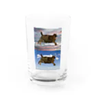 愛猫のグッズが欲しいのミーナ教信者T 「ミーナさまぁ…」 Water Glass :front