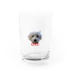 caicaiziのcoco Water Glass :front