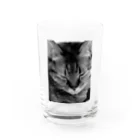 shop kochibiのモノクロ猫 Water Glass :front