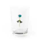 majoccoの奇跡 Water Glass :front