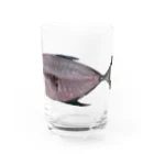 ビるばの捌いた魚 Water Glass :front