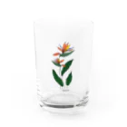 moguratatakiのBird of Paradise Water Glass :front