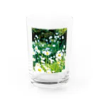 akane_art（茜音工房）の癒しの風景（シャスタデイジー） Water Glass :front