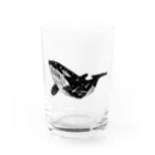 PHANT-ﾌｧﾝﾄ-のシャチ/色無し Water Glass :front