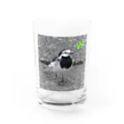 愛自然写真のハクセキレイさん Water Glass :front