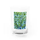 水彩屋の森林浴🌲 Water Glass :front