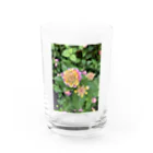 風薫る夏の大分の自然5 Water Glass :front