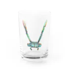 Botanical STUDIOの"V"  Wonderalphabet Water Glass :front