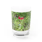 Aiko Nakanoの桜草 Water Glass :front