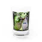 お騒がせインコストーリーのオキナインコカップルの新居 Water Glass :front