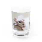 ひいらぎ たえの招き猫 珀ちゃん Water Glass :front