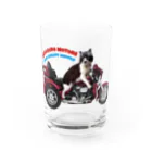 ごまわさびのHANAGURO MOTORS 創業者ごま Water Glass :front