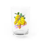 マロマロのMimosa Water Glass :front