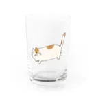 アトリエ 千 -sen-のおさんぽねこ Water Glass :front