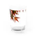 AI生成画像・風景・小物の写真をグッズにしてみましたの楓 Water Glass :front