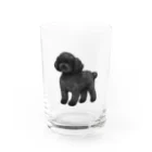 chippokeのトイプードル ブラック Water Glass :front