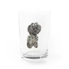 すずめR33,12のシュナウザー Water Glass :front