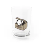 田中ザビエル世界のどうぶつの退廃的パンダンボール Water Glass :front