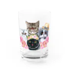 SANKAKU DESIGN STOREの仲良し！ぺちゃかわ猫ちゃんたちのバカンス。 Water Glass :front