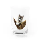 ブティックこてつの赤子こてつ Water Glass :front