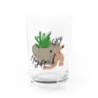 らぶかんすのマガキGuy Water Glass :front