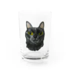 ゲラゴ商會のレオ Water Glass :front