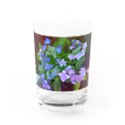 水彩屋の紫陽花（生花） Water Glass :front