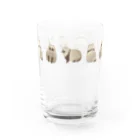 ぽんちょすの春夏秋冬たぬき Water Glass :front