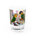 ピッチョコ倶楽部「momo＆kiraku」のシロハラとズグロ Water Glass :front