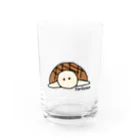 Ｆ@SHOPのリクガメ Water Glass :front