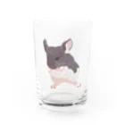 Lichtmuhleのモルパラ2021 ふう太ちゃん Water Glass :front