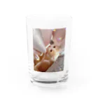 ちえまる商店の上目遣いきゅるるんもなちゃん Water Glass :front