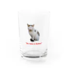 erumaのぶんぶん Water Glass :front