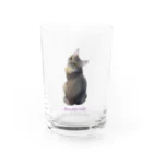 ちえまる商店の振り向きらむちゅ Water Glass :front