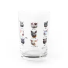 ドラシラスのドラシラス＆ハマチ Water Glass :front