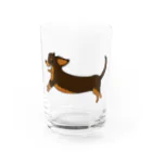 BlumeBellのチワックス・チョコタン Water Glass :front