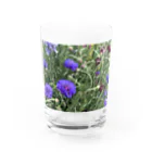 amekoamenokoのflower Water Glass :front