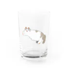 ｱｽﾀﾘｽｸのらぐどーる Water Glass :front