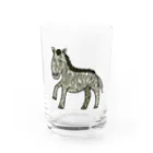 S.LIFEのシマウマくん Water Glass :front