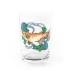 恒福水路のメダカ（ヒメダカ）グラス Water Glass :front