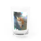 噛み噛み社長とにゃんこ達。のてんちゃん。 Water Glass :front